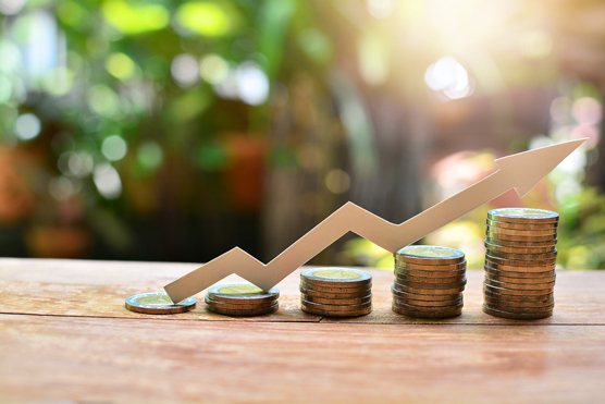 Trading Investment Services